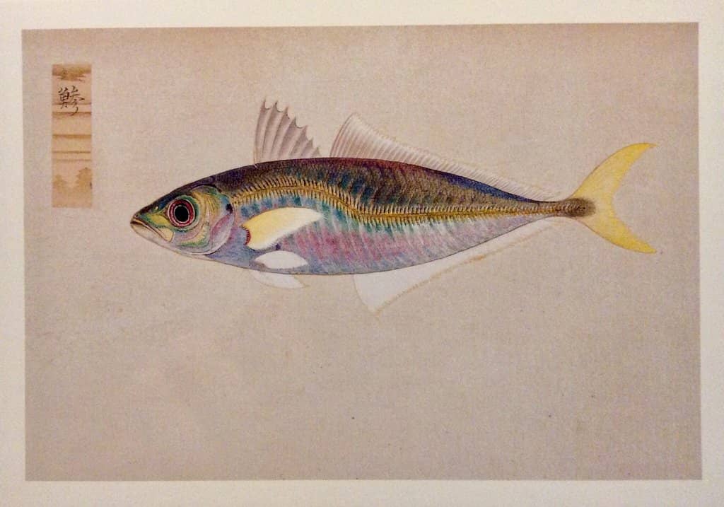 Kagawa's History & Culture