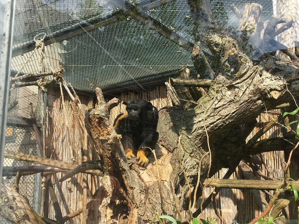 Vertical photo