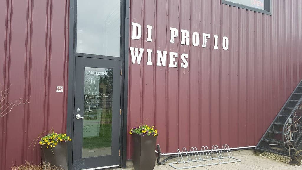 Scenic Vineyard Views