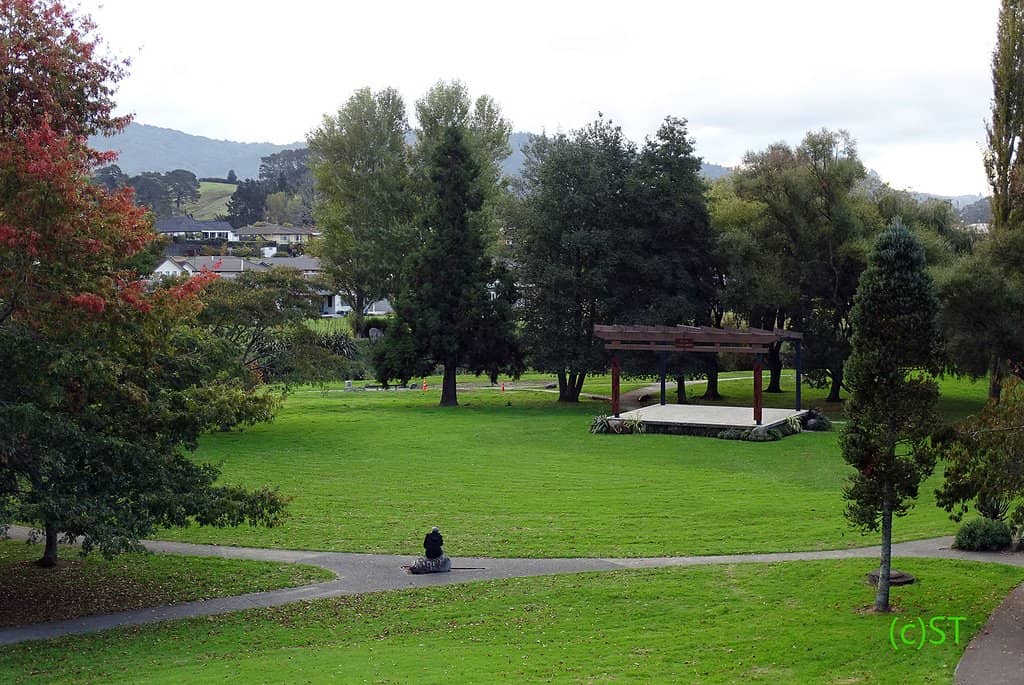 Riverside Scenery