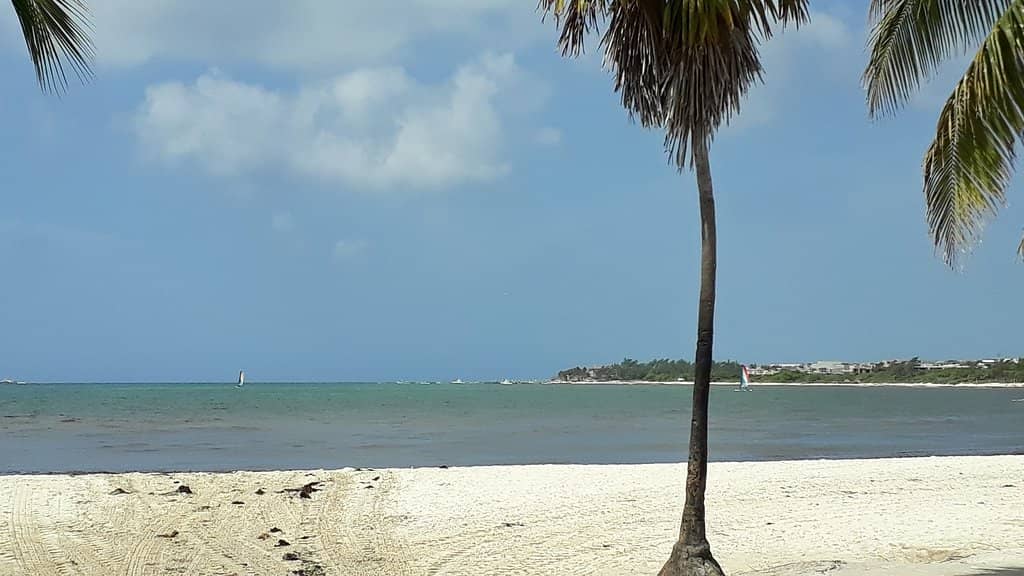 Cenote Meets the Sea