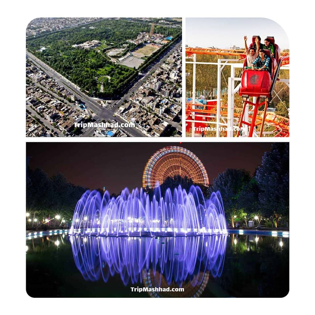 Thrill Rides