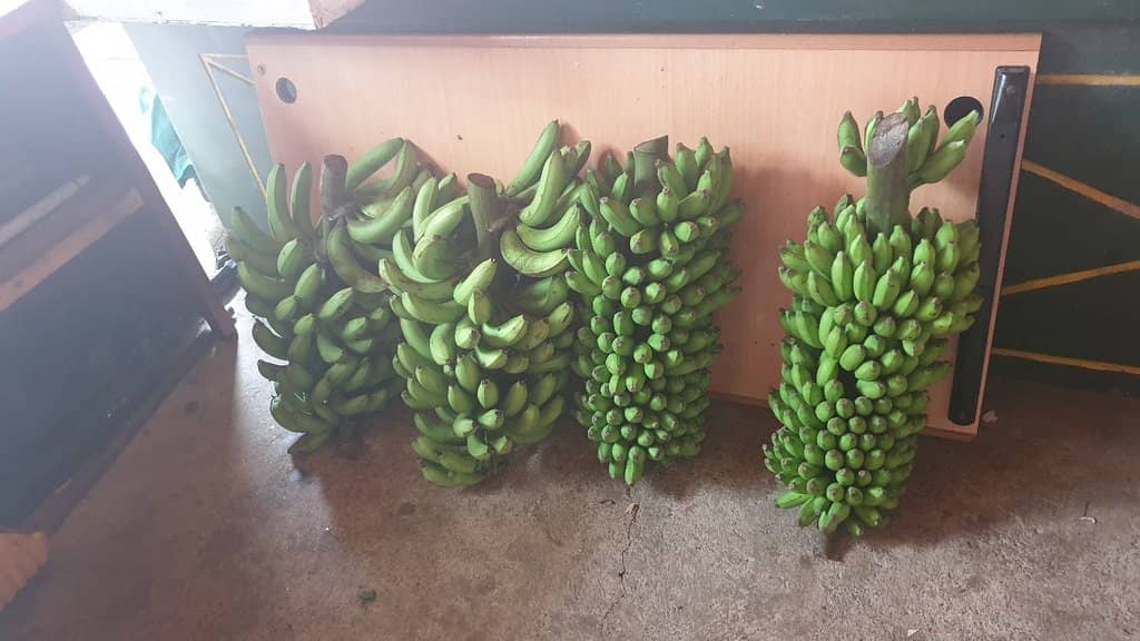 Aromatic Spice Stalls