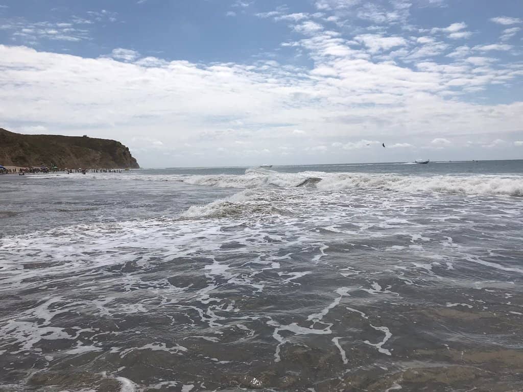 Vertical photo