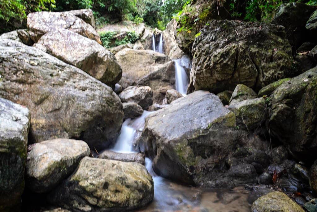 Jungle Trail Hike