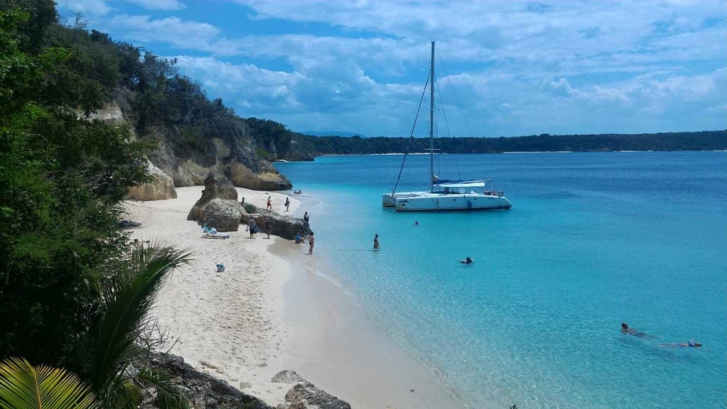 Exotic Wildlife Safari