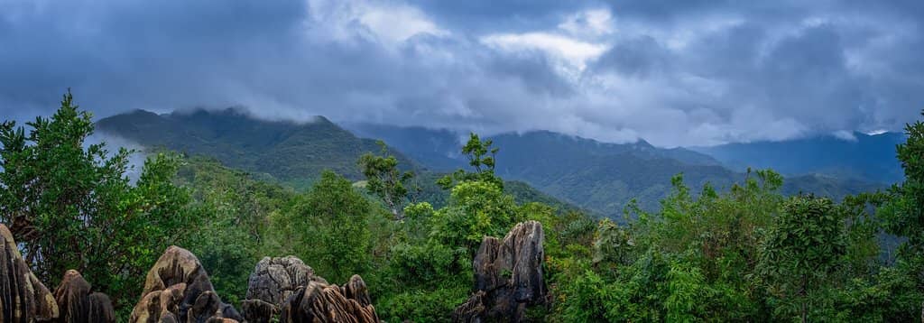Mt. Daraitan Summit Views