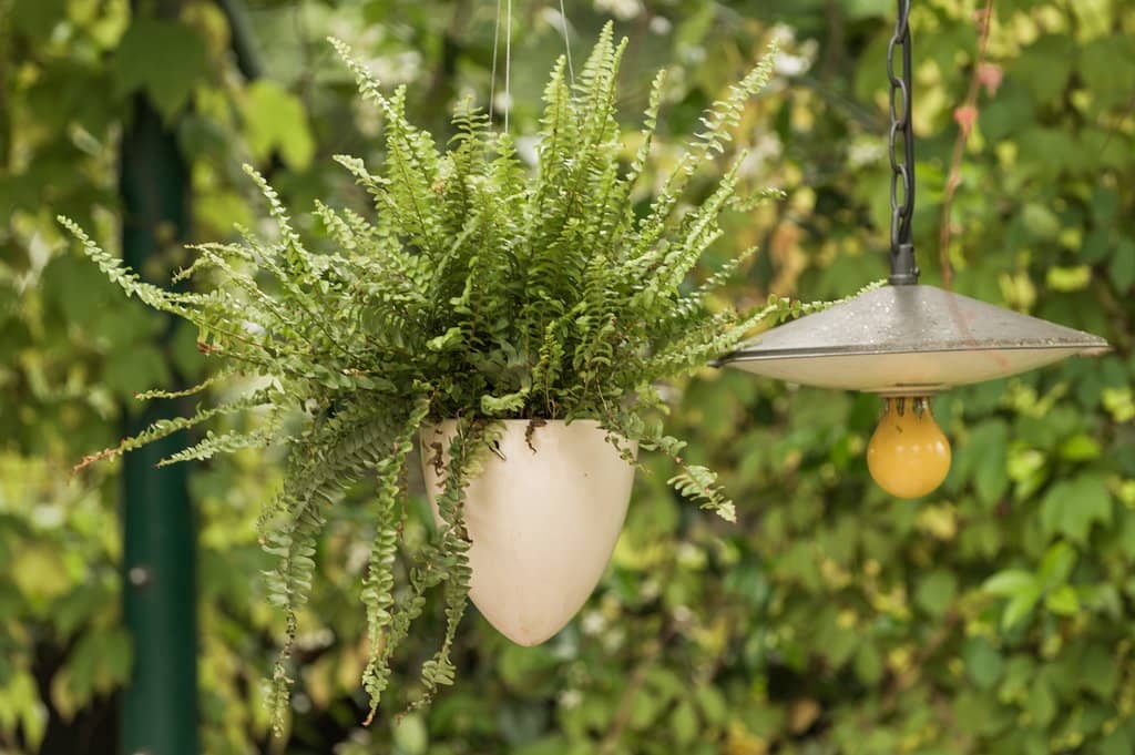 Impeccable, Warm Service