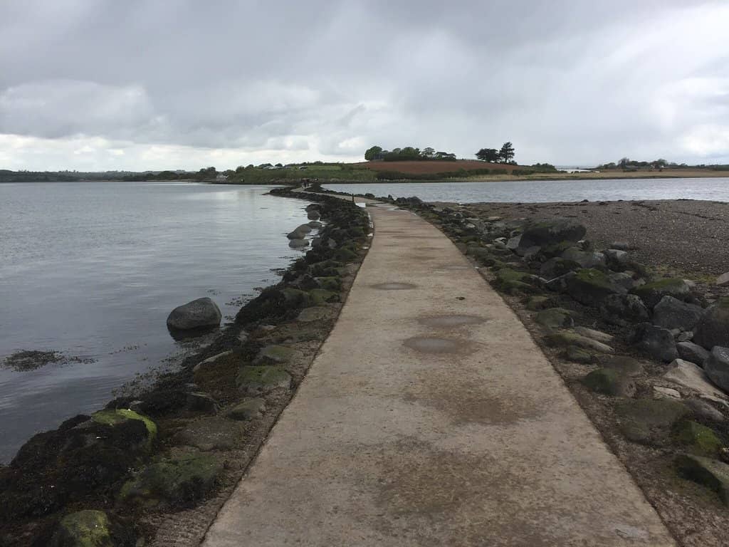 Bird Watching Opportunities