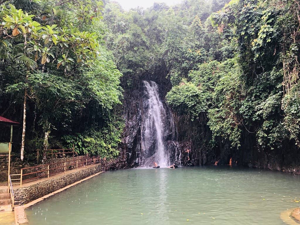 Natural Pool Swimming
