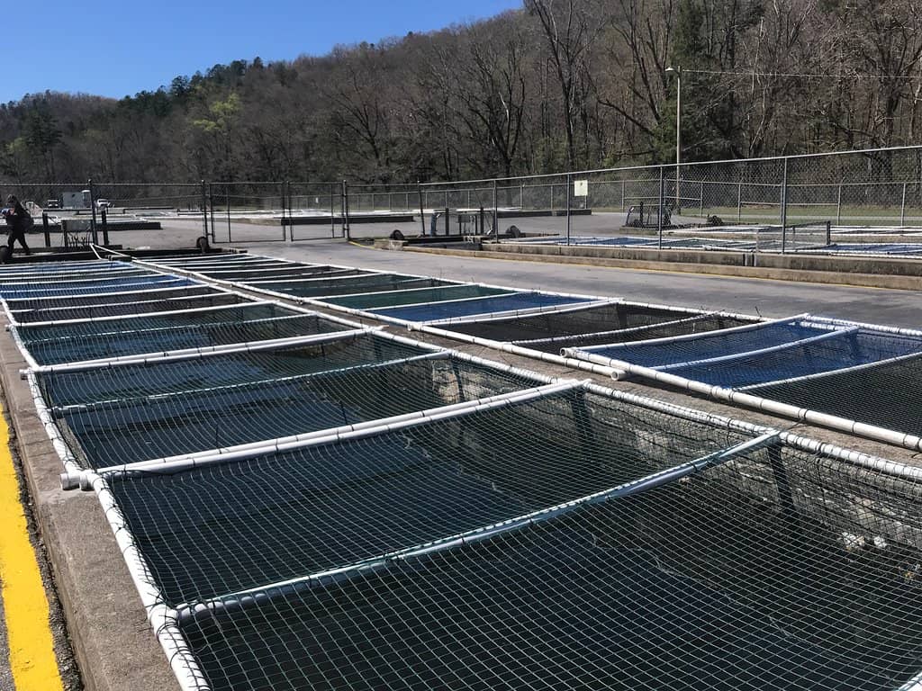 Educational Exhibits