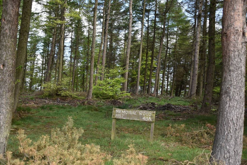 Woodland Trails