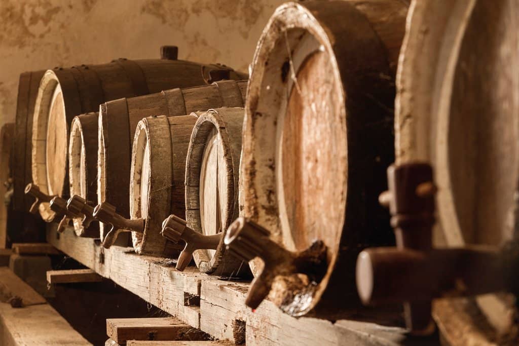 Vineyard Tour with Maria