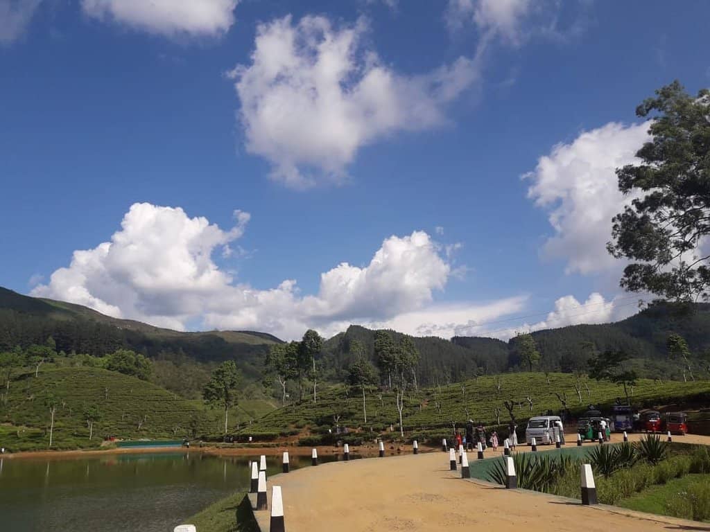 The Serene Lake