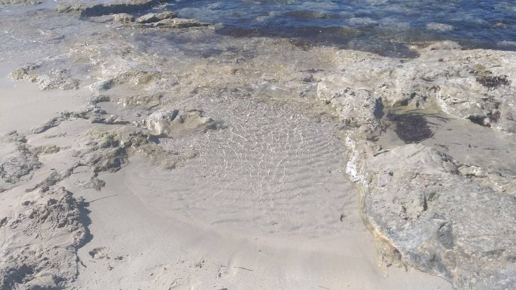 The Famous Pink Salt Flats
