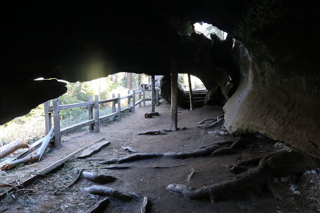 Historical Significance