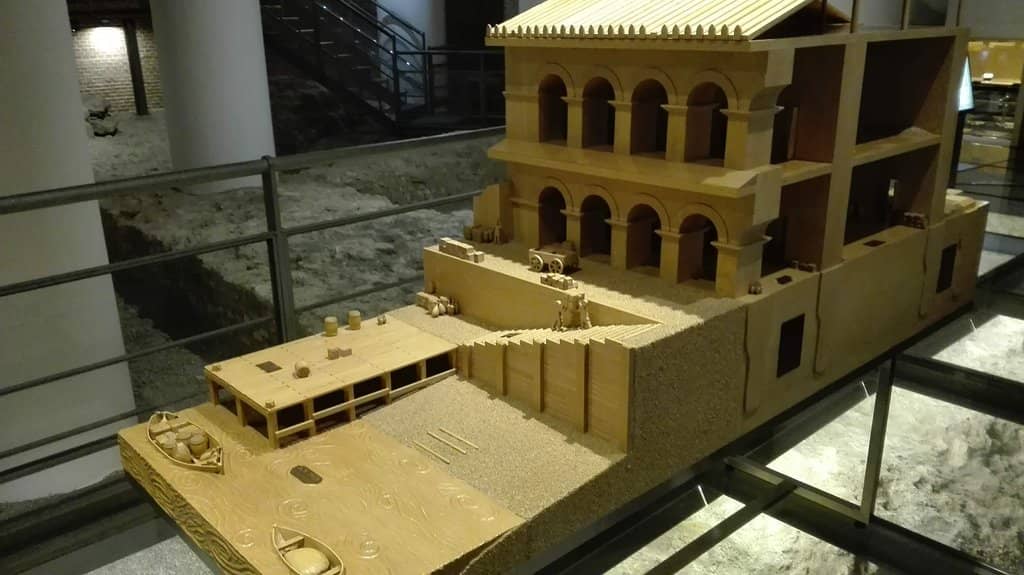 The Rise and Fall Film