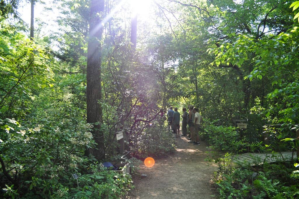 Mason Farm Biological Reserve