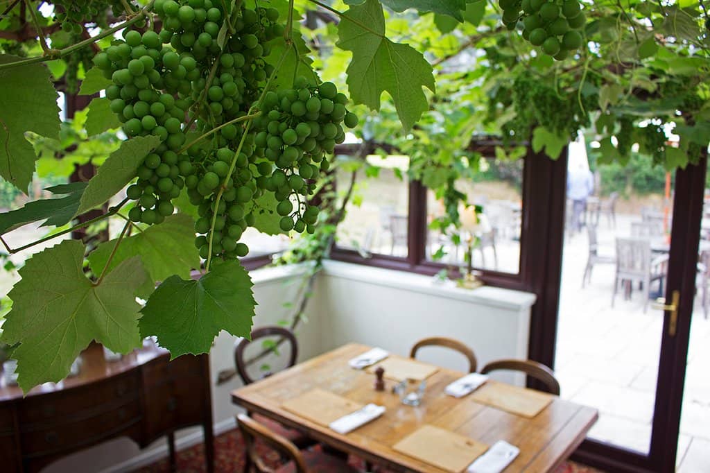 Stunning Mountain Views