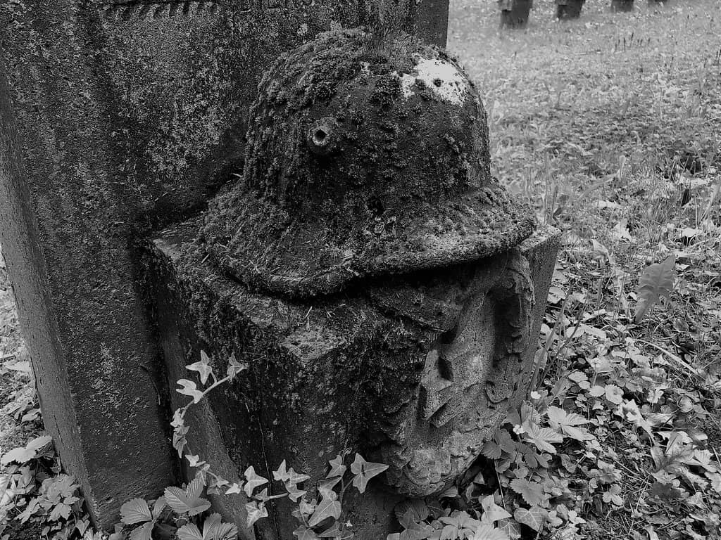 Lush Greenery and Oak Trees