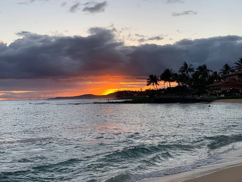 Coastal Views & Humpbacks