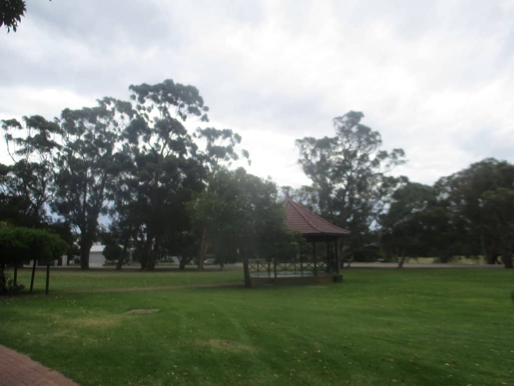 Food Truck & Stall Variety