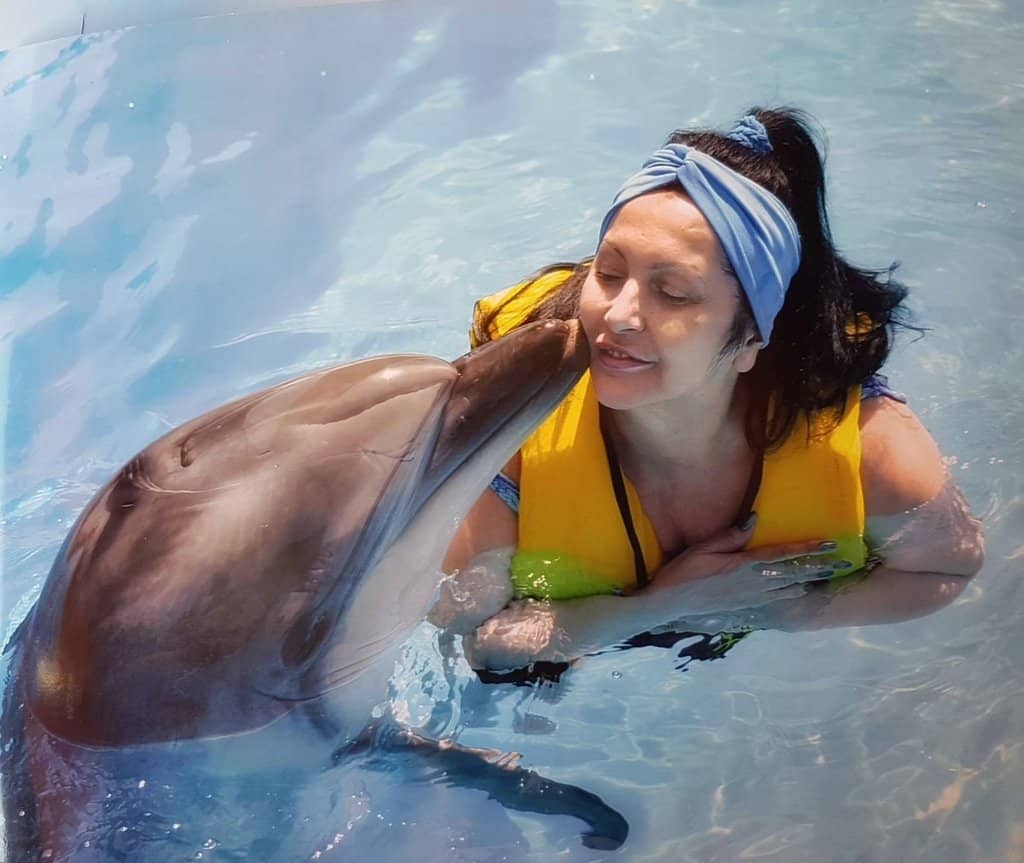 Dolphin Park Encounter