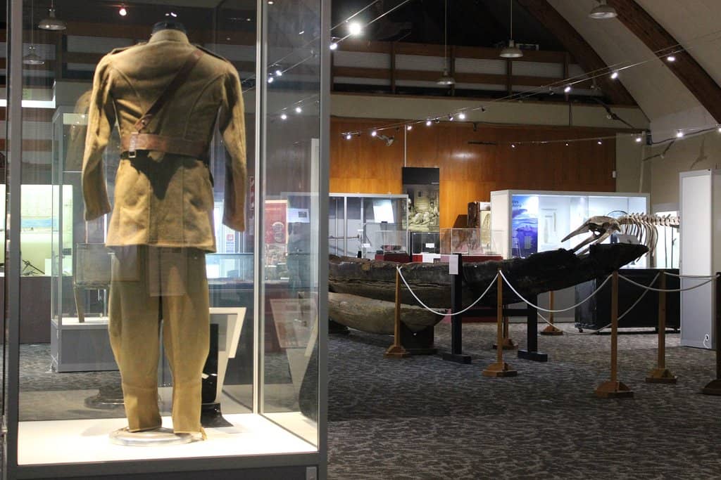 Miniature Train Rides