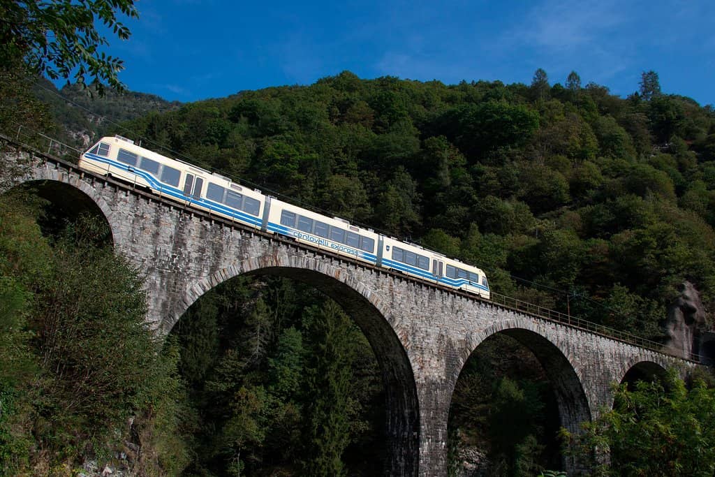 Autumn Foliage Train