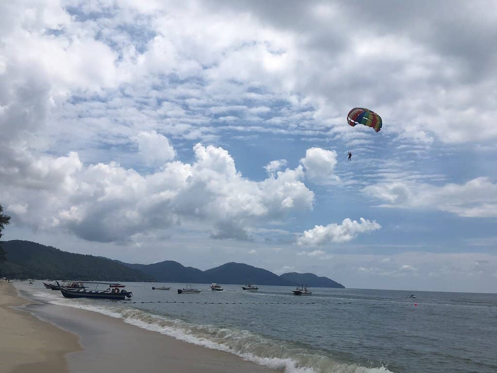 Ancient Rock Carvings