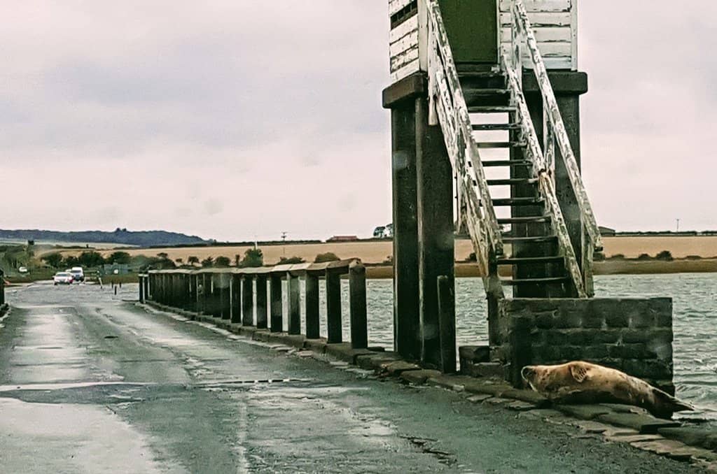 The Holy Island Museum