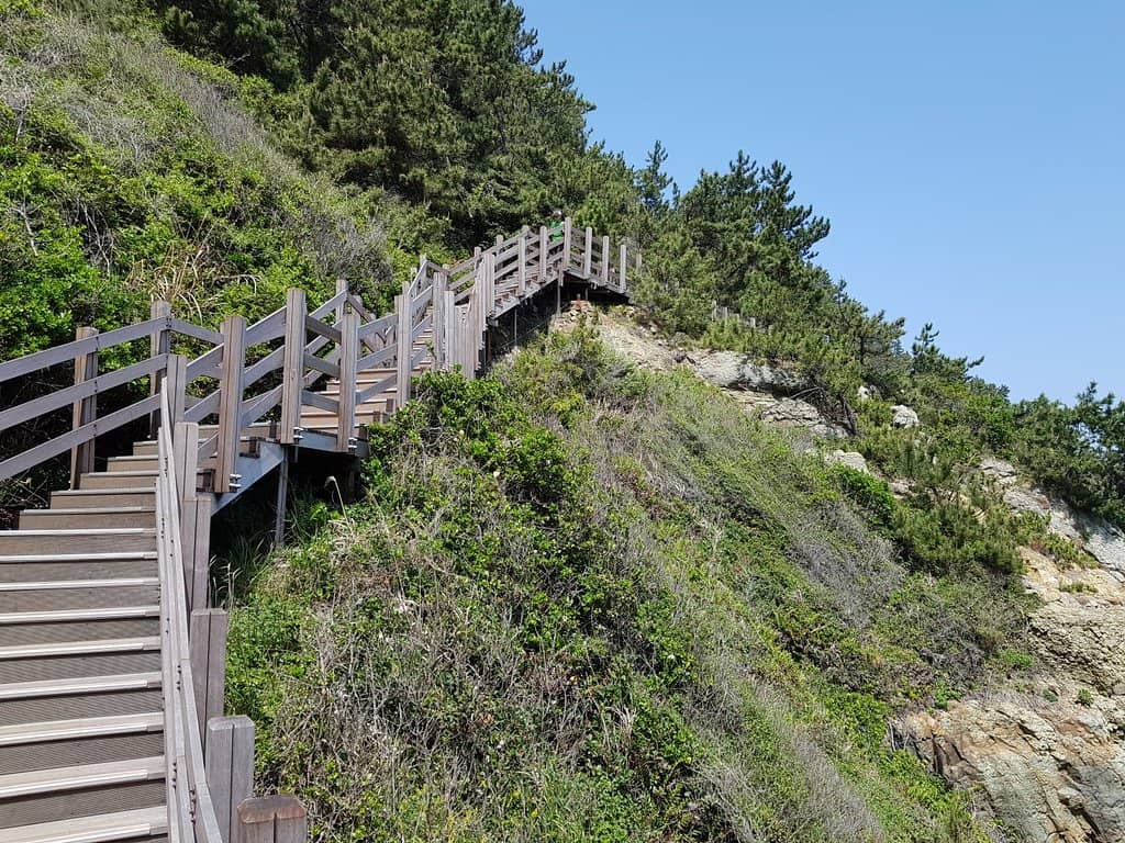 Panoramic Ocean Vistas