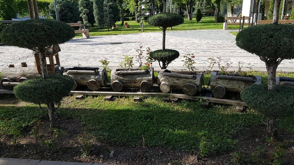 Peaceful Morning Strolls