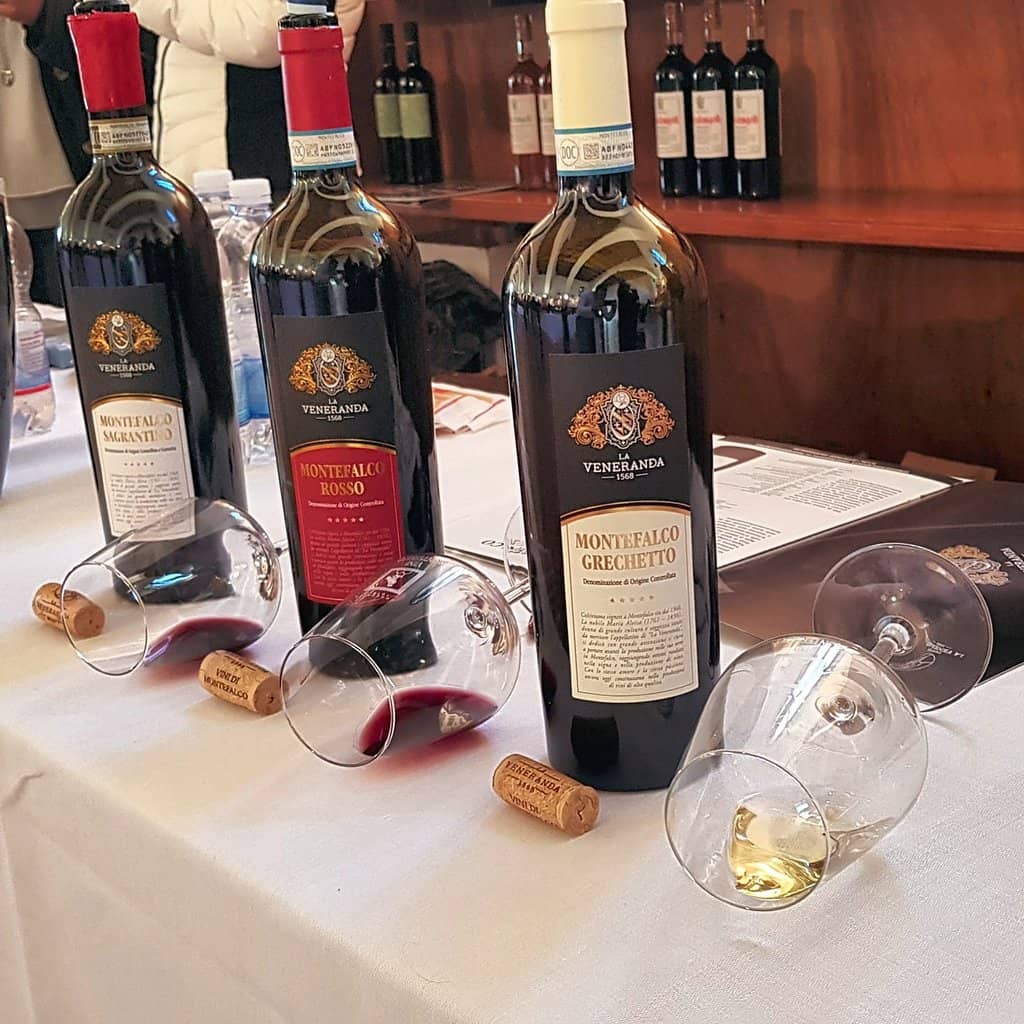 Family-Run Vineyard Experience