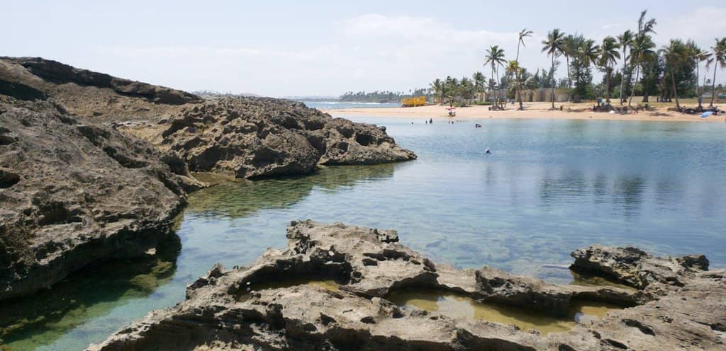 Expansive Sandy Shores