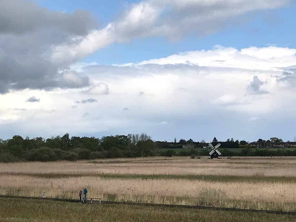 Birdwatching Opportunities