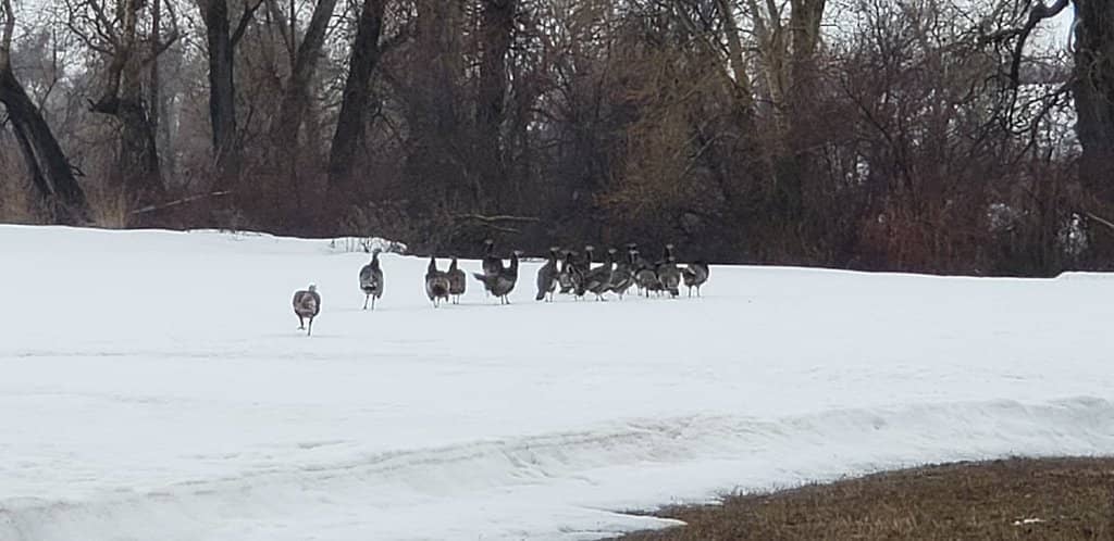 Beginner-Friendly Terrain