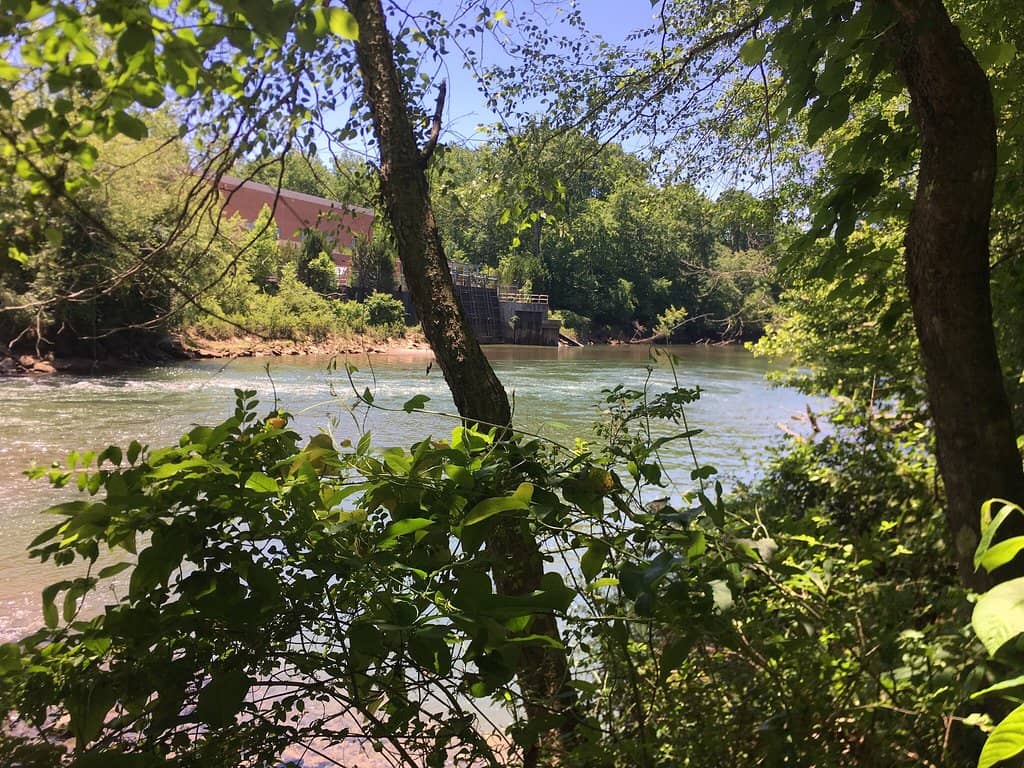 Shady Nature Trails
