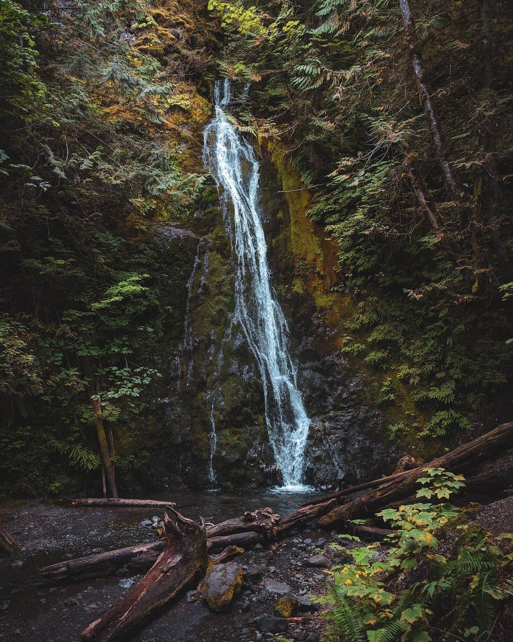 Vertical photo