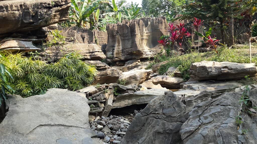 Scenic Trekking Trails