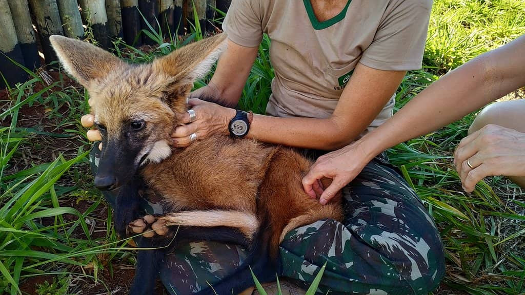 Dedicated and Friendly Staff