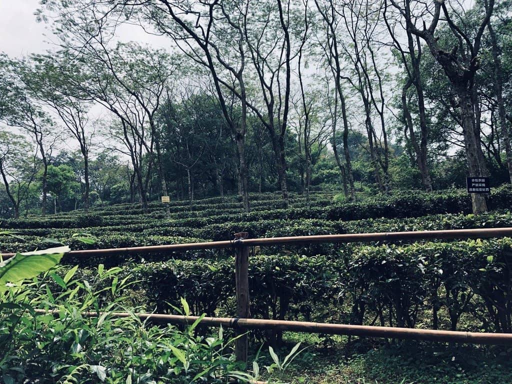 Yuntai Garden
