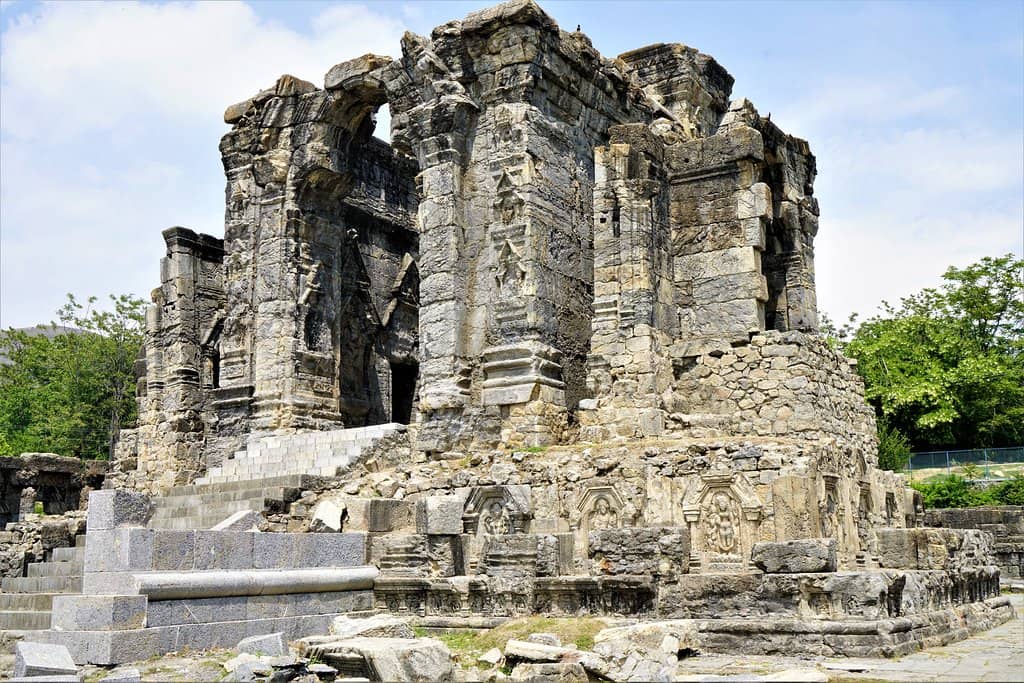 Majestic Chinar Trees