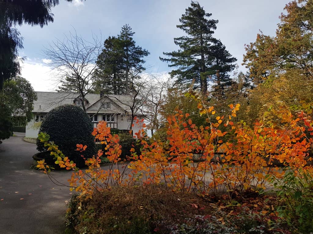 The Tudor-Style House