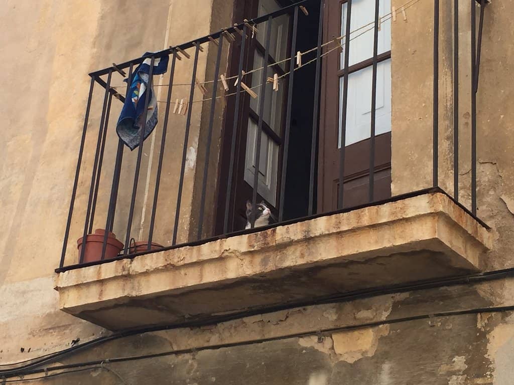 Community Meeting Spaces