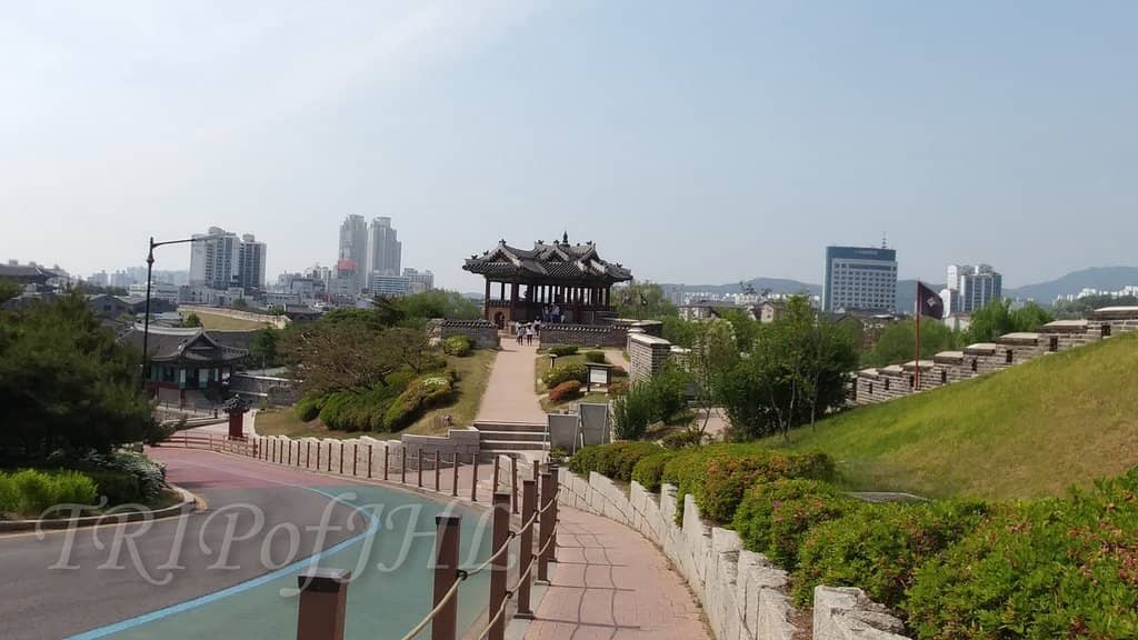 Yongyeon Pond Views