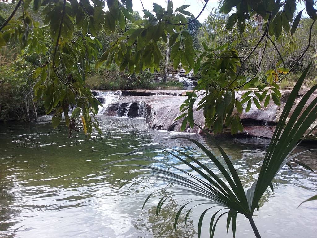 Park Portais do Roncador