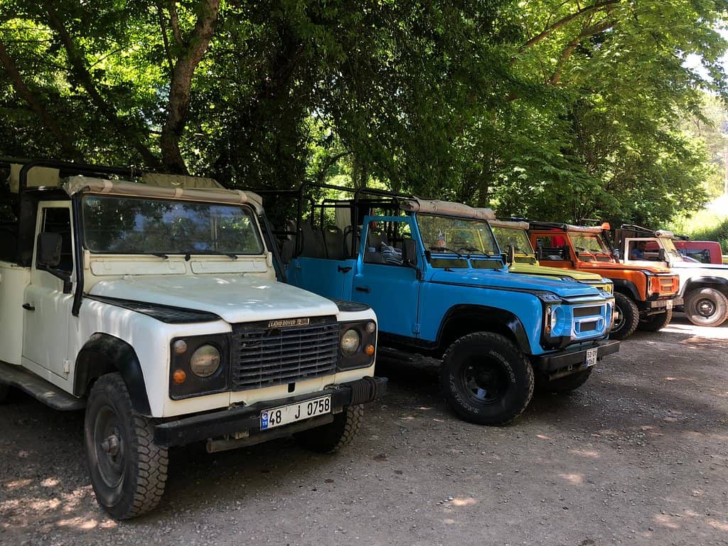 Natural Swimming Pools