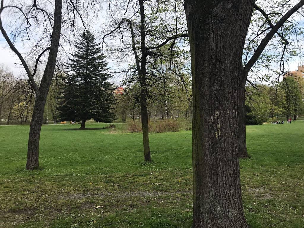 Riverside Relaxation