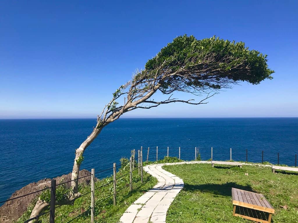 Cape Suzu Observation Deck